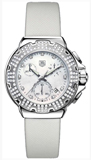 CAC1310.FC6219 